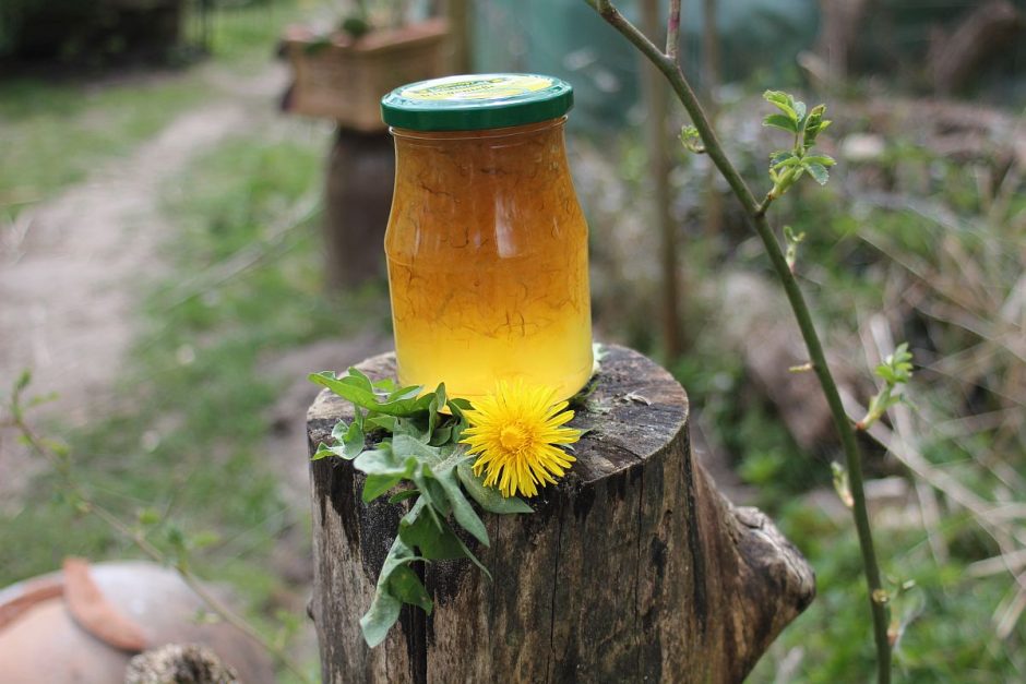 Marmelade aus Löwenzahn