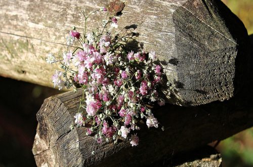 Valentinstag: Erinnerung an einen Frühlingsgott