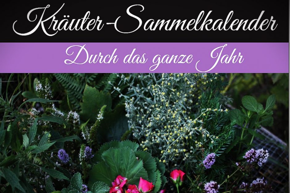 eBook Kräuter-Sammelkalender