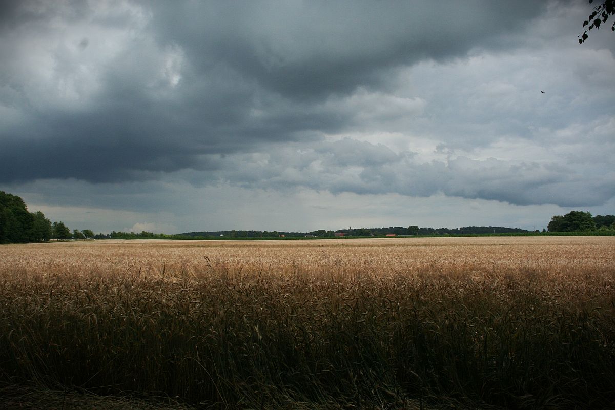 Altes Wissen: Der Wettersegen